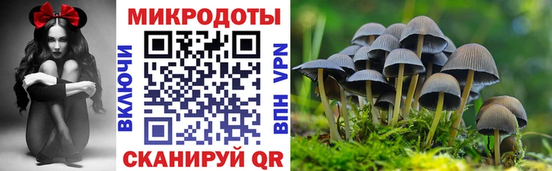 Галлюциногенные грибы прущие грибы  Купить где  Ахтырский 